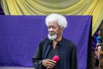Nobel Laureate Professor Wole Soyinka [photo credit: https://www.lagosat50.org.ng]